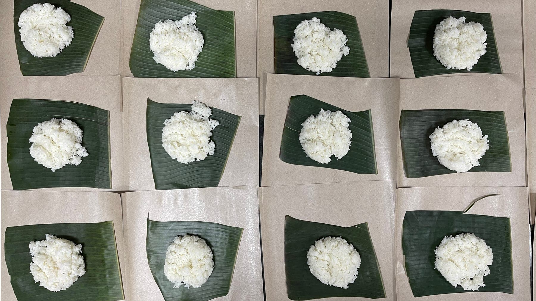 Twelve squares of banana leaf on paper, each with a mound of white rice